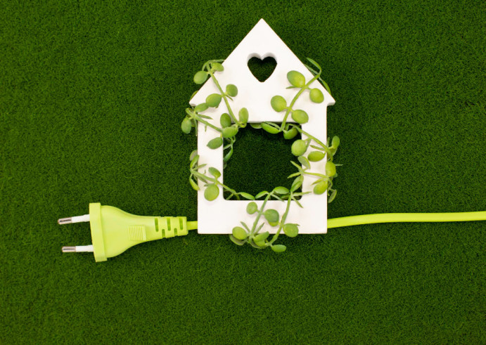 power cord with a miniature house